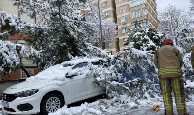 Kadıköy&#039;de yoğun kara dayanamayan ağaç, park halindeki otomobilin üstüne devrildi