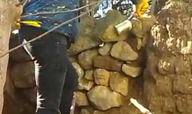 Kafası konserve kutusuna sıkışan kediyi iş insanı kurtardı