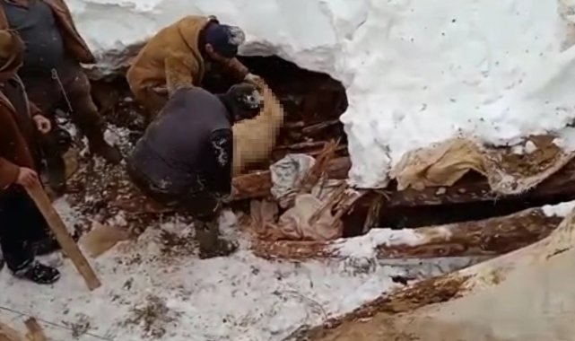 Kahramanmaraş&#039;ta çığ düştü, keçiler telef oldu