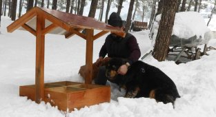 Kahramanmaraş'ta sokak hayvanlarına onlarca yeni yuva