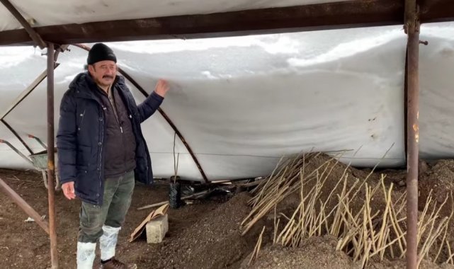 Kahramanmaraş'ta yoğun kar nedeniyle ceviz seraları zarar gördü