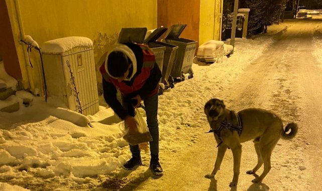 Kale'nin genç Alperenleri sokak hayvanlarını unutmadı