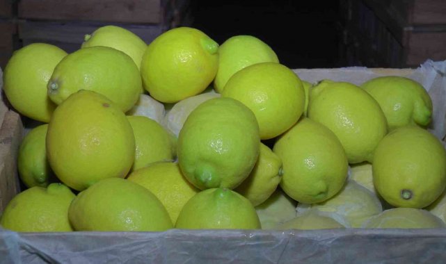 Kapadokya, Akdeniz bölgesinde yetiştirilen limona 'yataklık' ediyor