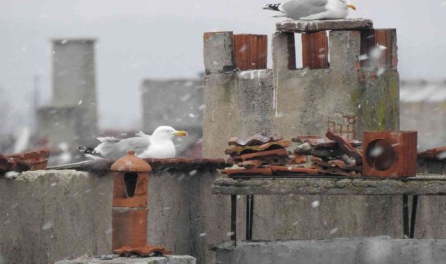 Kar Balkanlar'dan girdi, Edirne'de beklenen kar yağışı başladı