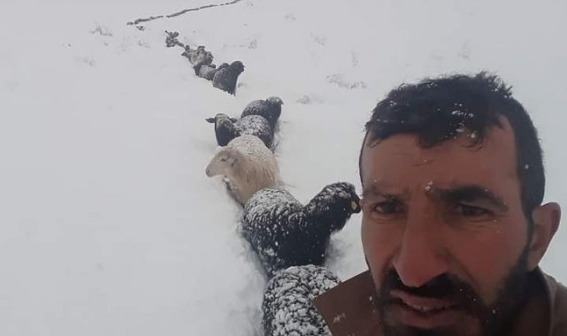 Kar bastırınca tek sıra halinde metrelerce sahiplerini takip ettiler