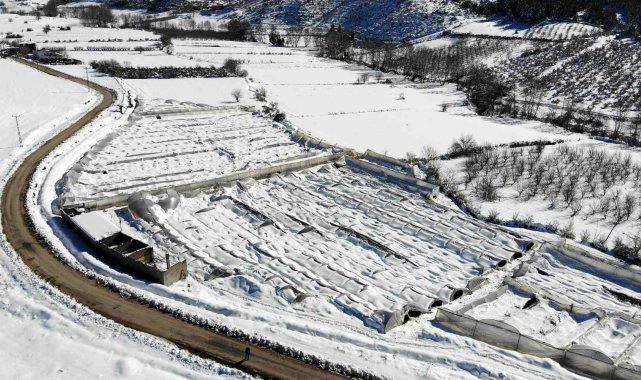 Kar, gül serasını yerle bir etti, 2,5 milyon zarar meydana geldi