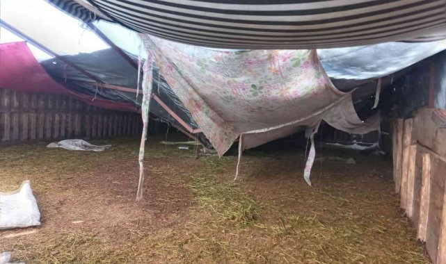 Kar nedeniyle çöken ağılda 28 küçükbaş hayvan telef oldu