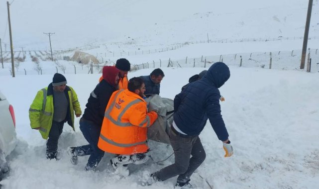 Kar nedeniyle çöken ahılda 20 küçükbaş hayvan telef oldu