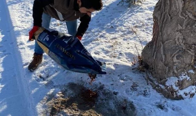 Kar yağışı sonrası yaban hayatı için doğaya yem bırakıldı