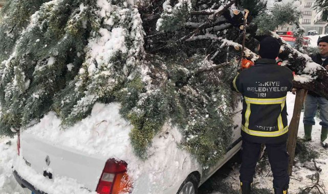 Kar yağışına dayanamayan ağaç, otomobilin üzerine devrildi