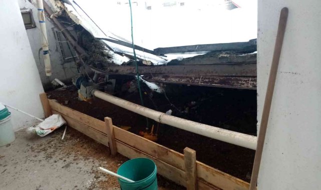 Kara dayanamayan çiftlik çatısı çöktü: 18 bine yakın tavuk telef oldu