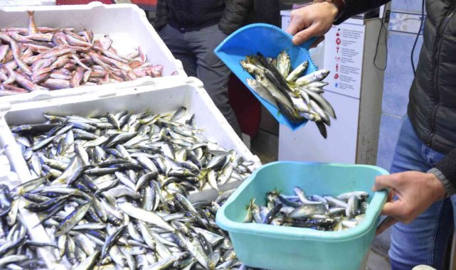 Karadeniz'de hamsi bereketi