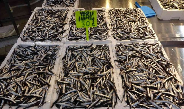 Karadeniz'de kar yağışı ve soğuklarla birlikte hamsi bereketi yaşanıyor