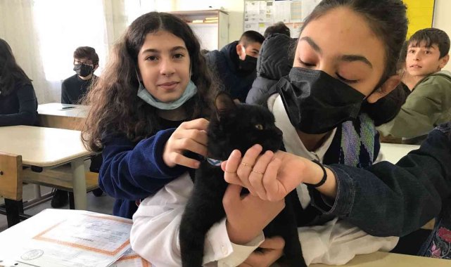 Karam okulun maskotu oldu