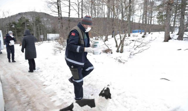 Karda aç kalan hayvanları elleriyle beslediler