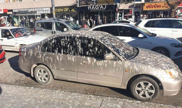 Kargaların istilası otomobili bu hale getirdi