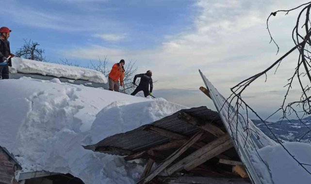 Karın ağırlığına dayanamayan ahırın çatısı çöktü, ekipler hayvanlar için seferber oldu