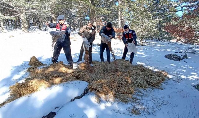 Karla kaplı Kazdağları'na yaban hayvanları için yem bırakıldı