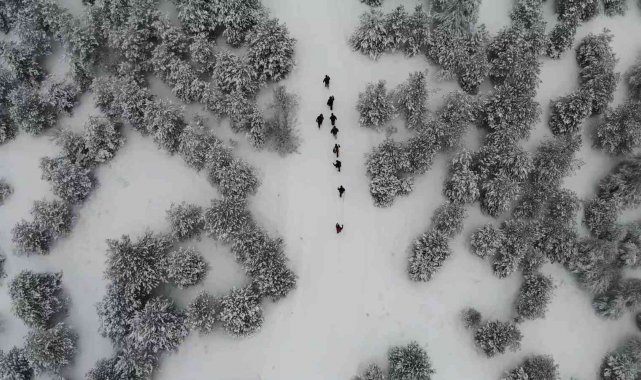 Karla kaplı kent ormanında doğa yürüyüşü: Eşiz manzara havadan görüntülendi