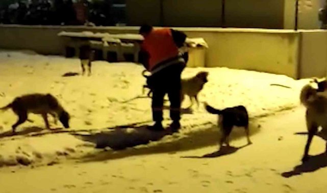 Karla mücadele personelinden aç kalan hayvanlar için anlamlı çağrı