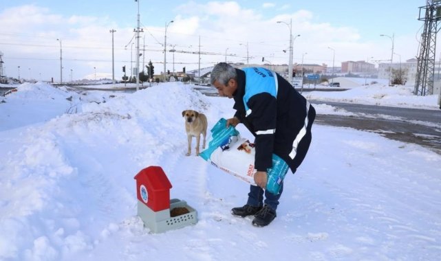 Karlı ve soğuk havada Battalgazi'deki can dostlar unutulmadı
