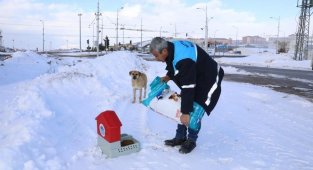 Karlı ve soğuk havada Battalgazi'deki can dostlar unutulmadı
