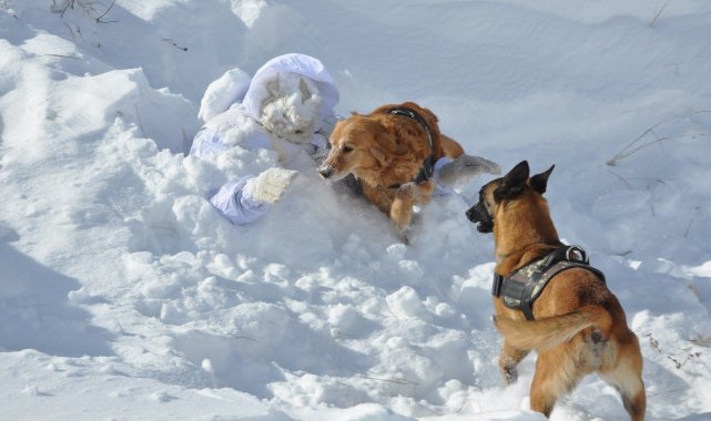 Kars&#039;ta komandolardan çığda arama kurtarma eğitimi