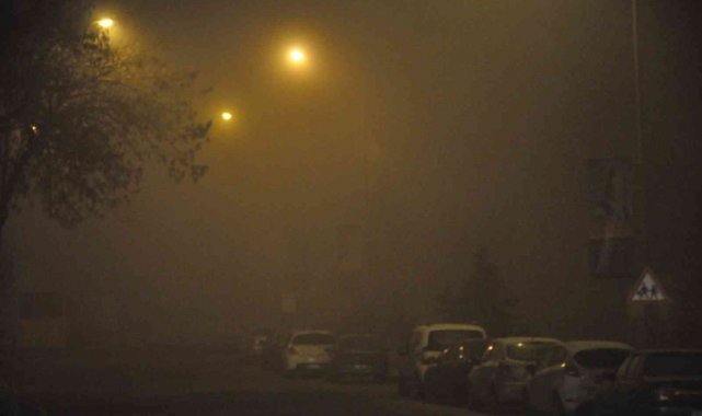 Kars'ta yoğun sis etkili oluyor