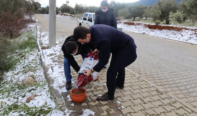 Kaymakam Alpay sokak canlarını unutmadı