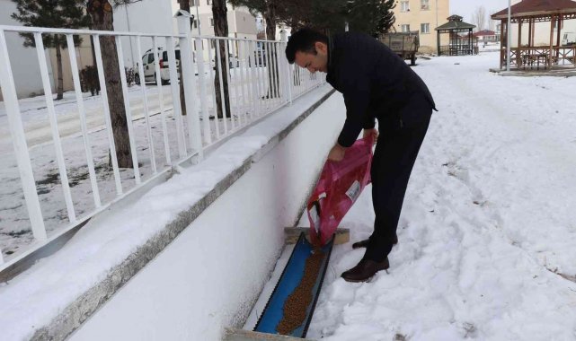 Kaymakam sokak hayvanlarını unutmadı
