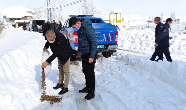 Kaymakam ve Belediye Başkanı sokak hayvanları için doğaya yem bıraktı