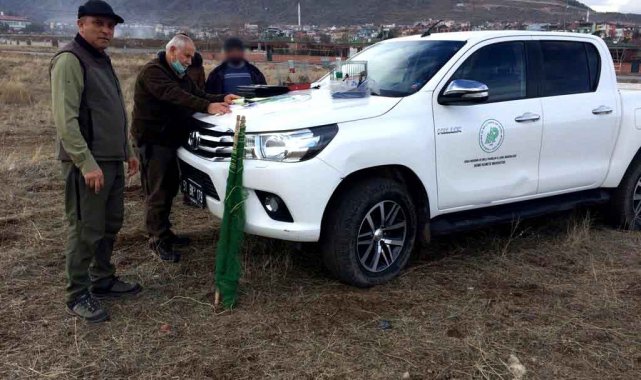 Kayseri'de yasa dışı keten kuşu avlayan 2 şahıs suçüstü yakalandı