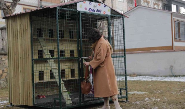 Kedileri Sivas'ın ayazından bu kulübeler koruyacak