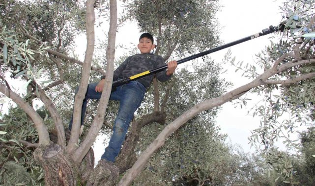 Kendisi küçük, becerisi büyük