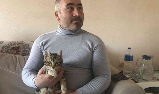 Kendisini belgesele kaptıran kedinin verdiği tepki izleyenleri güldürdü