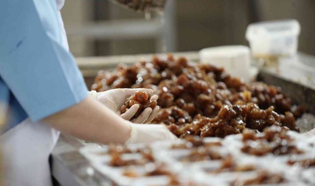 Kestane şekeri ihracatı artıyor