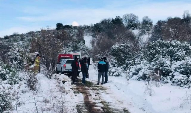 Kestiği ağacın altında can verdi