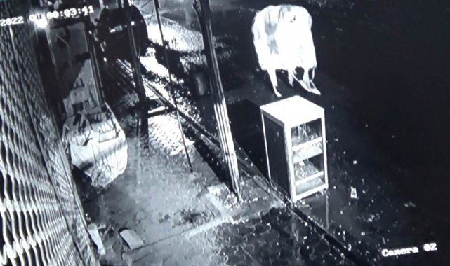 Kilis'te 2 kişi başına çuval geçirerek ekmek sandığını çaldı