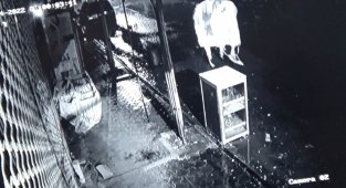 Kilis'te 2 kişi başına çuval geçirerek ekmek sandığını çaldı