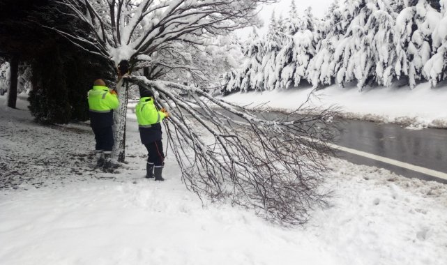 Kırılan ağaç dalları toplanıyor