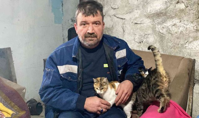 Kış ayında kapısını kedilere açtı