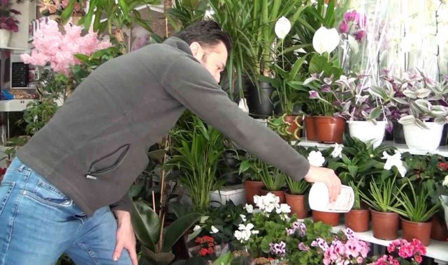 Kışın evde çiçek ve süs bitkisi bakımı daha kolay