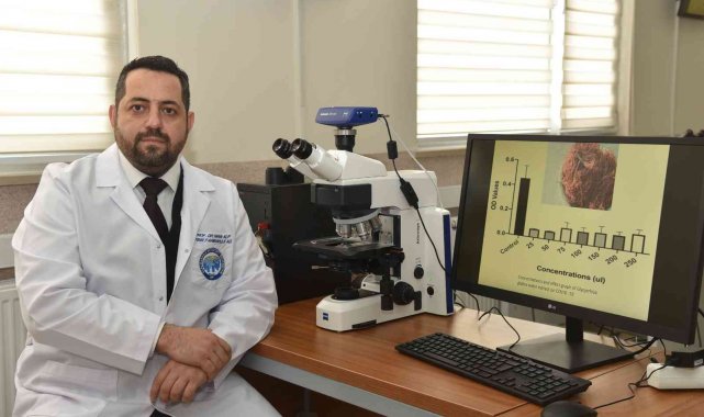 KMÜ&#039;lü öğretim üyesinden Covid-19&#039;a karşı meyan kökü formülü