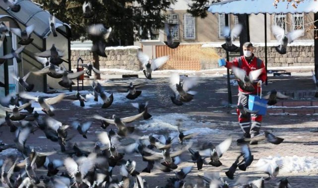 Kocasinan'dan kış mevsimi boyunca sokak ve yaban hayvanları için 13 ton yem