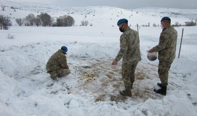 Komandolar, yaban hayvanları için doğaya yem bıraktı