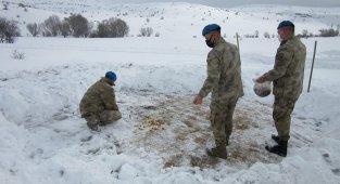 Komandolar, yaban hayvanları için doğaya yem bıraktı