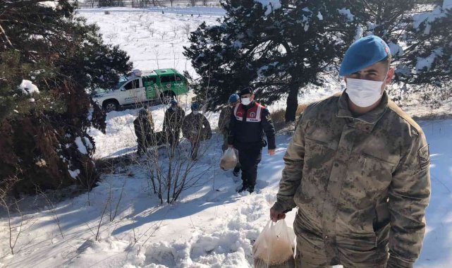 Komandolar yaban hayvanlarını unutmadı