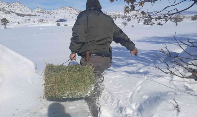 Konya'da yiyecek bulmakta zorlanan yaban hayvanları için doğaya yiyecek takviyesi