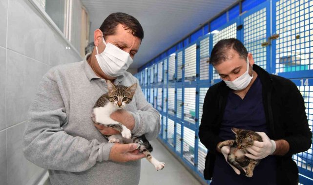 Konyaaltı'nda sokak hayvanları için 2021 yılında 23 ton mama dağıtıldı