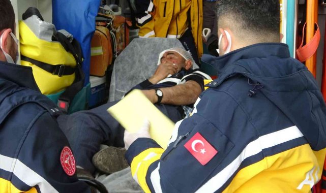 Köpek saldırısına uğrayan kişi yaralandı